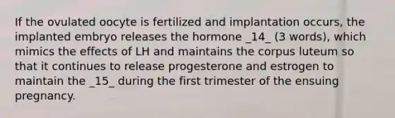 If the ovulated oocyte is fertilized and implantation occurs, the implanted embryo releases the hormone _14_ (3 words), which mimics the effects of LH and maintains the corpus luteum so that it continues to release progesterone and estrogen to maintain the _15_ during the first trimester of the ensuing pregnancy.