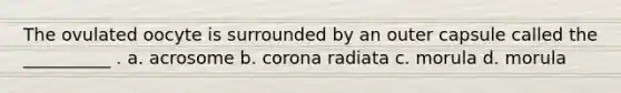The ovulated oocyte is surrounded by an outer capsule called the __________ . a. acrosome b. corona radiata c. morula d. morula