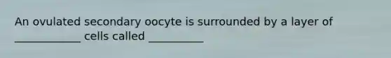 An ovulated secondary oocyte is surrounded by a layer of ____________ cells called __________