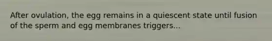 After ovulation, the egg remains in a quiescent state until fusion of the sperm and egg membranes triggers...