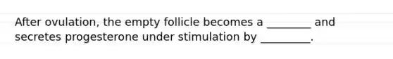 After ovulation, the empty follicle becomes a ________ and secretes progesterone under stimulation by _________.