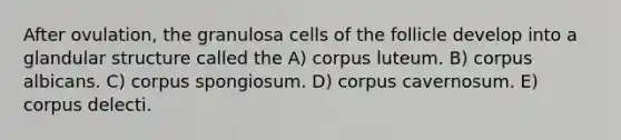 After ovulation, the granulosa cells of the follicle develop into a glandular structure called the A) corpus luteum. B) corpus albicans. C) corpus spongiosum. D) corpus cavernosum. E) corpus delecti.