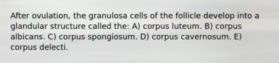 After ovulation, the granulosa cells of the follicle develop into a glandular structure called the: A) corpus luteum. B) corpus albicans. C) corpus spongiosum. D) corpus cavernosum. E) corpus delecti.