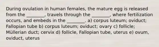 During ovulation in human females, the mature egg is released from the ________, travels through the ________, where fertilization occurs, and embeds in the ________. a) corpus luteum; oviduct; Fallopian tube b) corpus luteum; oviduct; ovary c) follicle; Müllerian duct; cervix d) follicle, Fallopian tube, uterus e) ovum, oviduct, uterus