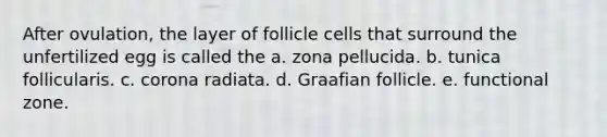 After ovulation, the layer of follicle cells that surround the unfertilized egg is called the a. zona pellucida. b. tunica follicularis. c. corona radiata. d. Graafian follicle. e. functional zone.