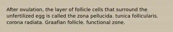 After ovulation, the layer of follicle cells that surround the unfertilized egg is called the zona pellucida. tunica follicularis. corona radiata. Graafian follicle. functional zone.