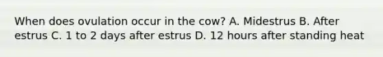 When does ovulation occur in the cow? A. Midestrus B. After estrus C. 1 to 2 days after estrus D. 12 hours after standing heat