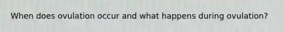 When does ovulation occur and what happens during ovulation?
