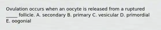 Ovulation occurs when an oocyte is released from a ruptured _____ follicle. A. secondary B. primary C. vesicular D. primordial E. oogonial