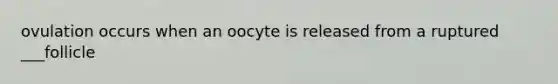 ovulation occurs when an oocyte is released from a ruptured ___follicle