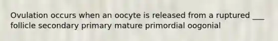 Ovulation occurs when an oocyte is released from a ruptured ___ follicle secondary primary mature primordial oogonial