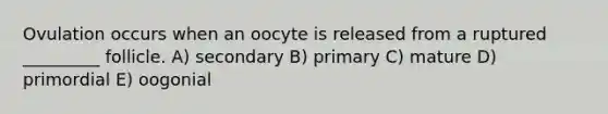 Ovulation occurs when an oocyte is released from a ruptured _________ follicle. A) secondary B) primary C) mature D) primordial E) oogonial