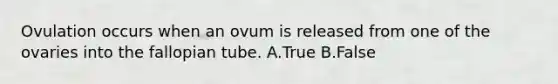 Ovulation occurs when an ovum is released from one of the ovaries into the fallopian tube. A.True B.False