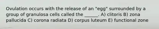 Ovulation occurs with the release of an "egg" surrounded by a group of granulosa cells called the ______. A) clitoris B) zona pallucida C) corona radiata D) corpus luteum E) functional zone