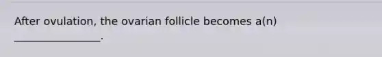 After ovulation, the ovarian follicle becomes a(n) ________________.