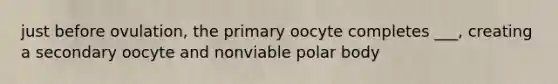 just before ovulation, the primary oocyte completes ___, creating a secondary oocyte and nonviable polar body