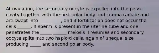 At ovulation, the secondary oocyte is expelled into the pelvic cavity together with the first polar body and corona radiate and are swept into _____ ____, and if fertilization does not occur the cells ______. If sperm is present in the uterine tube and one penetrates the _____ ______ meiosis II resumes and secondary oocyte splits into two haploid cells, again of unequal size producing _____ and second polar body.