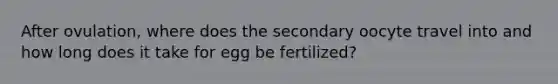 After ovulation, where does the secondary oocyte travel into and how long does it take for egg be fertilized?