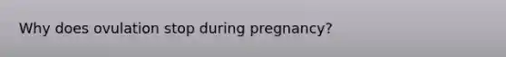 Why does ovulation stop during pregnancy?