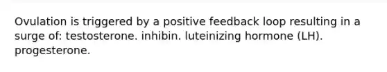 Ovulation is triggered by a positive feedback loop resulting in a surge of: testosterone. inhibin. luteinizing hormone (LH). progesterone.