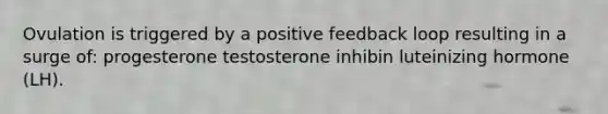 Ovulation is triggered by a positive feedback loop resulting in a surge of: progesterone testosterone inhibin luteinizing hormone (LH).