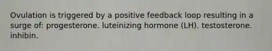 Ovulation is triggered by a positive feedback loop resulting in a surge of: progesterone. luteinizing hormone (LH). testosterone. inhibin.