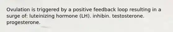 Ovulation is triggered by a positive feedback loop resulting in a surge of: luteinizing hormone (LH). inhibin. testosterone. progesterone.