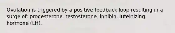 Ovulation is triggered by a positive feedback loop resulting in a surge of: progesterone. testosterone. inhibin. luteinizing hormone (LH).