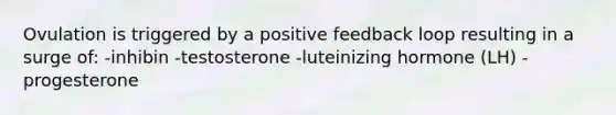 Ovulation is triggered by a positive feedback loop resulting in a surge of: -inhibin -testosterone -luteinizing hormone (LH) -progesterone