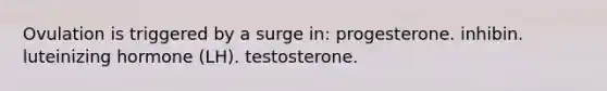 Ovulation is triggered by a surge in: progesterone. inhibin. luteinizing hormone (LH). testosterone.