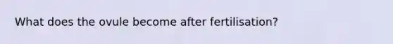 What does the ovule become after fertilisation?