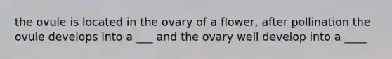 the ovule is located in the ovary of a flower, after pollination the ovule develops into a ___ and the ovary well develop into a ____