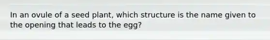 In an ovule of a seed plant, which structure is the name given to the opening that leads to the egg?