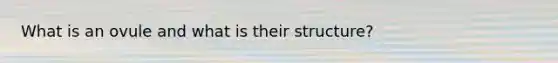 What is an ovule and what is their structure?