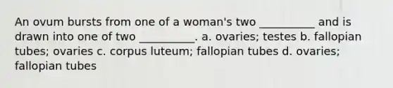 An ovum bursts from one of a woman's two __________ and is drawn into one of two __________. a. ovaries; testes b. fallopian tubes; ovaries c. corpus luteum; fallopian tubes d. ovaries; fallopian tubes