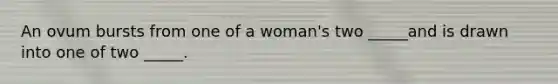 An ovum bursts from one of a woman's two _____and is drawn into one of two _____.