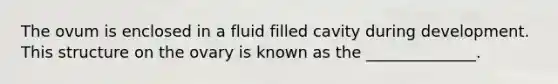 The ovum is enclosed in a fluid filled cavity during development. This structure on the ovary is known as the ______________.