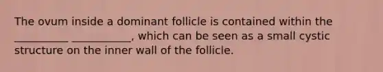 The ovum inside a dominant follicle is contained within the __________ ___________, which can be seen as a small cystic structure on the inner wall of the follicle.