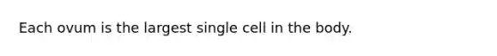 Each ovum is the largest single cell in the body.