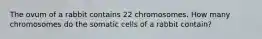 The ovum of a rabbit contains 22 chromosomes. How many chromosomes do the somatic cells of a rabbit contain?