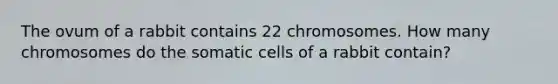 The ovum of a rabbit contains 22 chromosomes. How many chromosomes do the somatic cells of a rabbit contain?