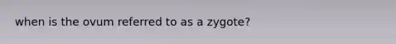 when is the ovum referred to as a zygote?