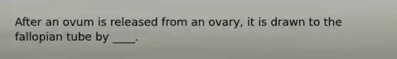 After an ovum is released from an ovary, it is drawn to the fallopian tube by ____.