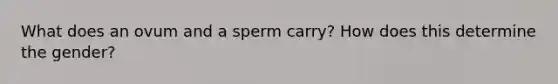 What does an ovum and a sperm carry? How does this determine the gender?