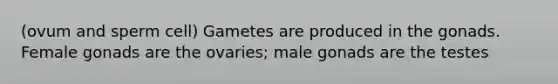 (ovum and sperm cell) Gametes are produced in the gonads. Female gonads are the ovaries; male gonads are the testes