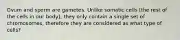 Ovum and sperm are gametes. Unlike somatic cells (the rest of the cells in our body), they only contain a single set of chromosomes, therefore they are considered as what type of cells?