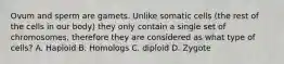 Ovum and sperm are gamets. Unlike somatic cells (the rest of the cells in our body) they only contain a single set of chromosomes, therefore they are considered as what type of cells? A. Haploid B. Homologs C. diploid D. Zygote