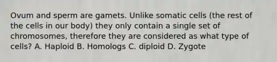 Ovum and sperm are gamets. Unlike somatic cells (the rest of the cells in our body) they only contain a single set of chromosomes, therefore they are considered as what type of cells? A. Haploid B. Homologs C. diploid D. Zygote