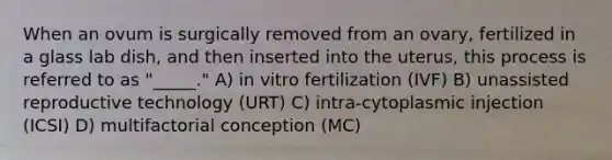 When an ovum is surgically removed from an ovary, fertilized in a glass lab dish, and then inserted into the uterus, this process is referred to as "_____." A) in vitro fertilization (IVF) B) unassisted reproductive technology (URT) C) intra-cytoplasmic injection (ICSI) D) multifactorial conception (MC)