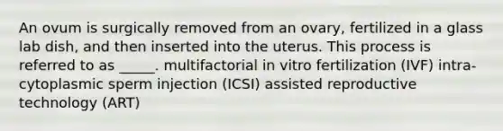 An ovum is surgically removed from an ovary, fertilized in a glass lab dish, and then inserted into the uterus. This process is referred to as _____. multifactorial in vitro fertilization (IVF) intra-cytoplasmic sperm injection (ICSI) assisted reproductive technology (ART)